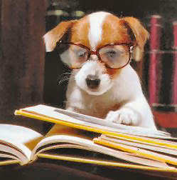 chien-a-lunette-livre